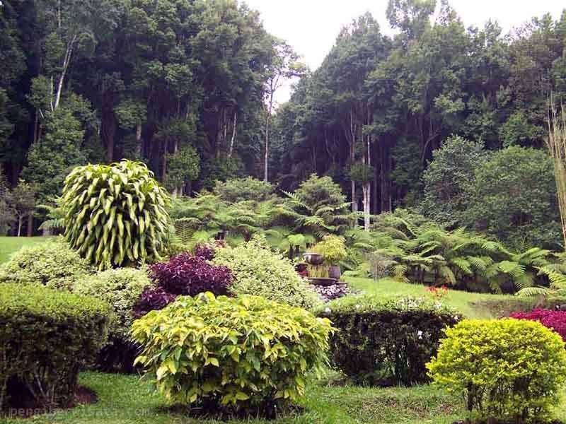 Ботанический сад на бали