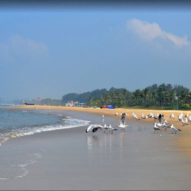 Пляж богмалло, гоа (индия): история, фото, как добраться, адрес
на карте и время работы в 2022 - 2023