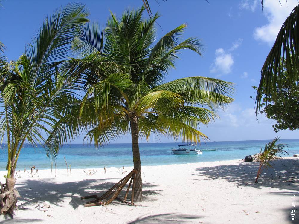 Курортный отель или локальный остров на мальдивах. что выбрать?