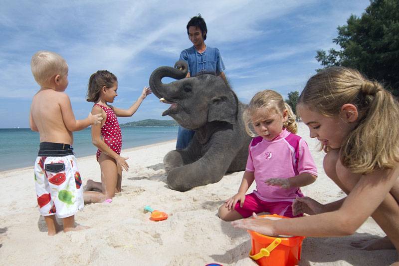 Лучший отдых в тайланде с детьми, отели, курорты