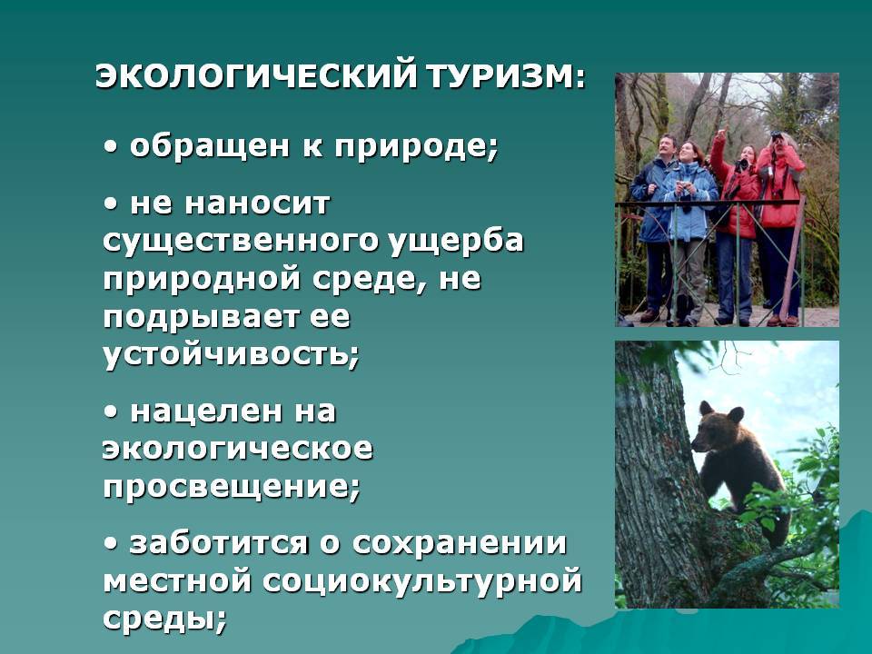 Что такое экотуризм? современная концепция «зелёного» туризма — fonar.tv