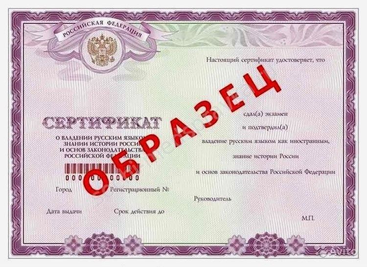 Экзамен по русскому языку для гражданства рф в 2023 году
