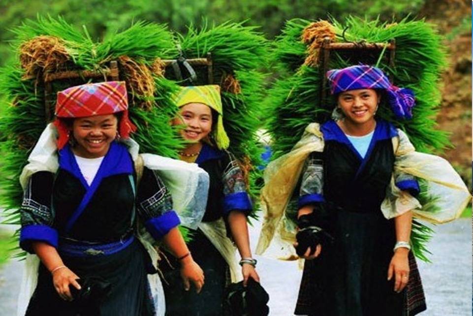 Вьетнам — информация о стране, достопримечательности, история