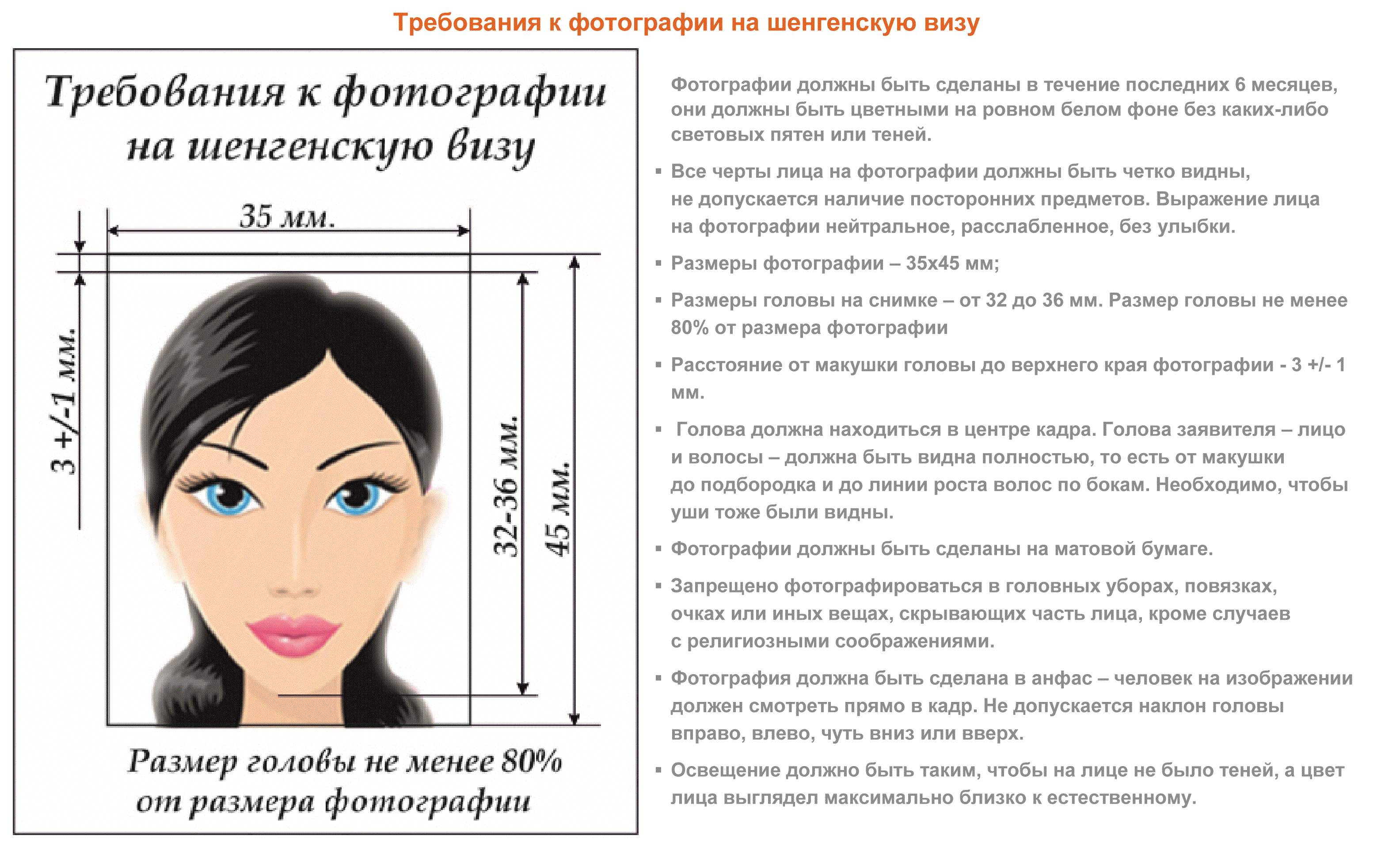 По требованию каких лиц. Фото на шенген требования. Фото на визу шенген требования. Шенгенская виза фото требования. Требования к фотографии на визу шенген.