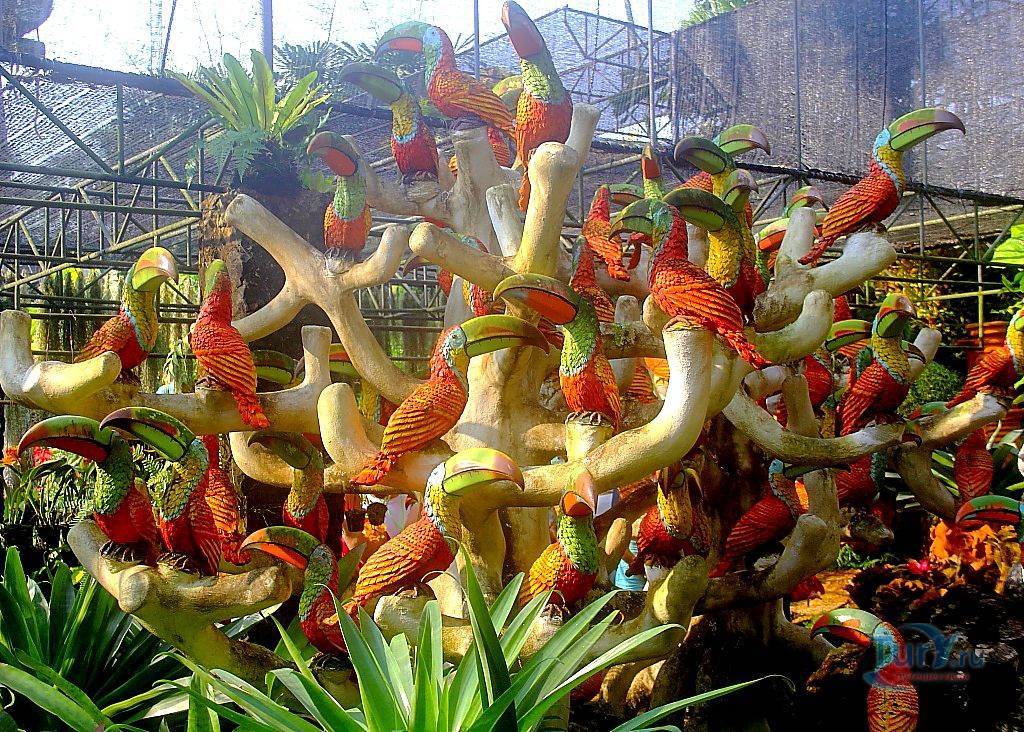 Парк орхидей в паттайе — уникальный комплекс с садом и пагодами