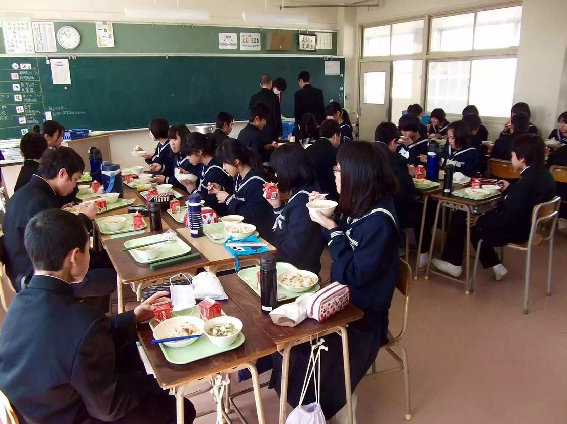 Система образования японии: особенности среднего и высшего образования