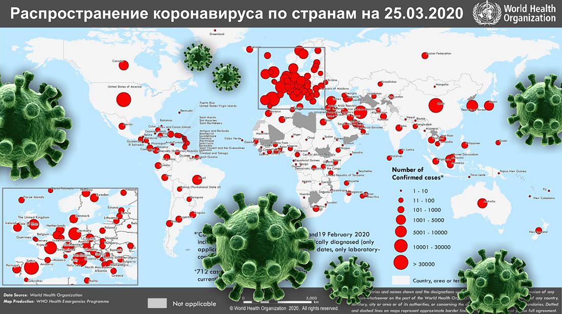 Карта коронавируса в московской области на сегодняшний день