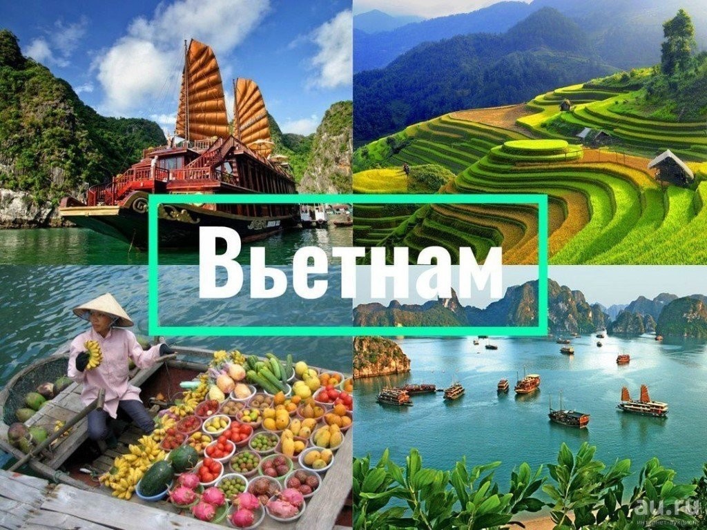 Стоимость жизни во вьетнаме в 2022 году для иностранцев | vietnews.ru - все о вьетнаме
стоимость жизни во вьетнаме в 2022 году для иностранцев | vietnews.ru - все о вьетнаме