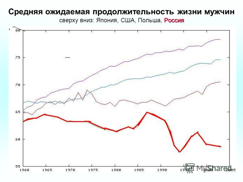 Как японии удаётся быть лидером по продолжительности жизни в мире - zefirka