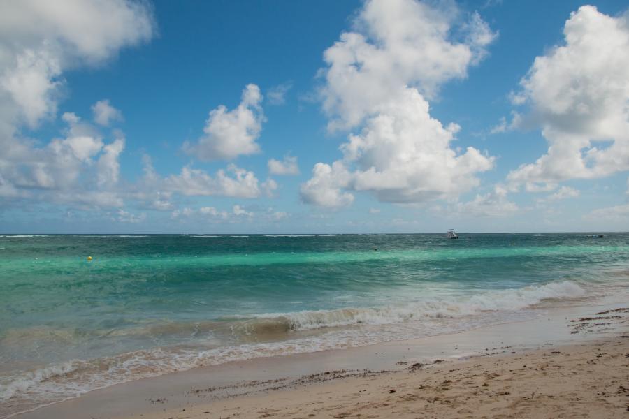 Отдых в доминикане: какая погода и температура в республике в январе? (сезон 2023)