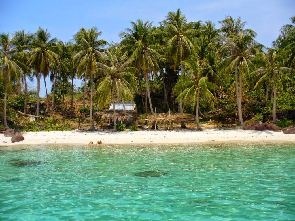 Лучшие пляжи фукуока (вьетнам): лонг бич, бай сао и еще 7 чудесных пляжей - 2022