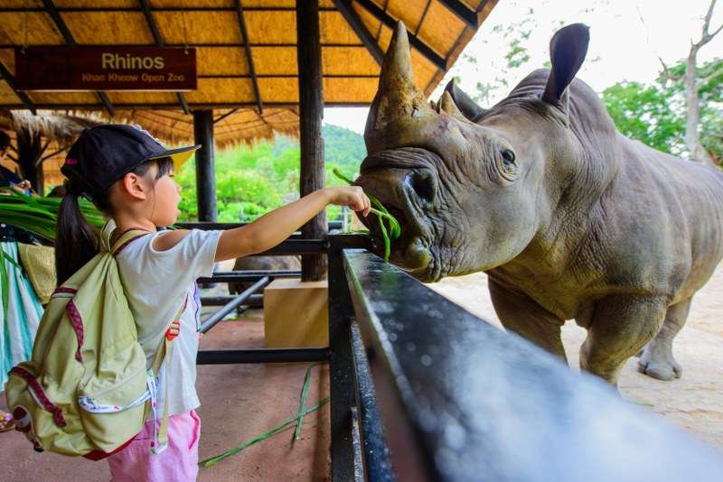 Кхао кхео - зоопарк в паттайе: фото, как добраться самостоятельно - 2021