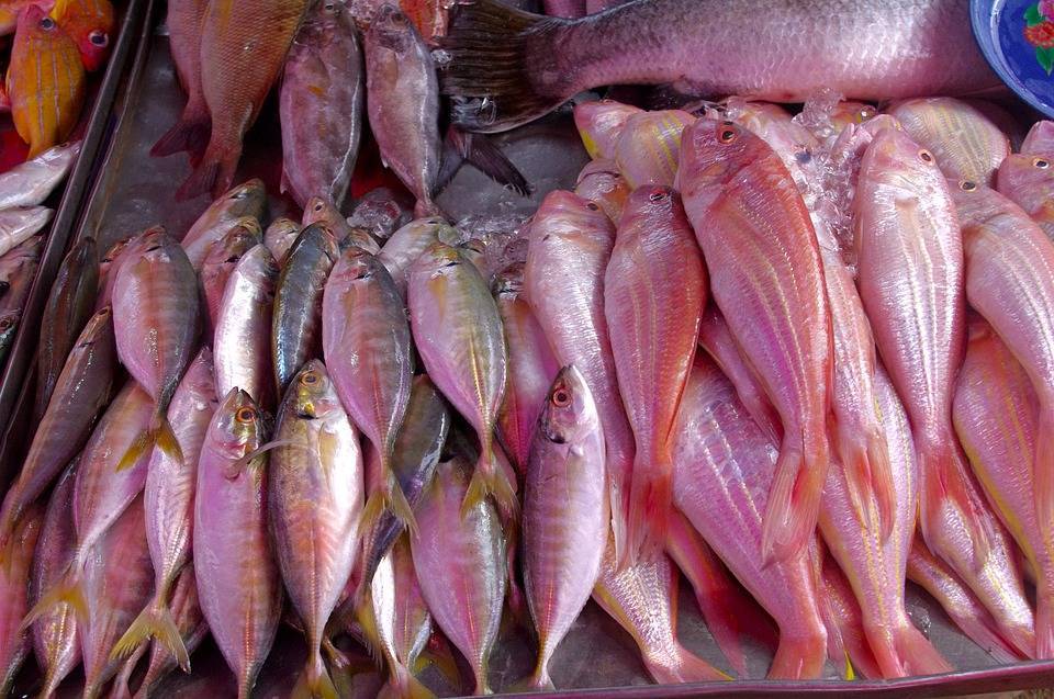 Рыбы в тайланде