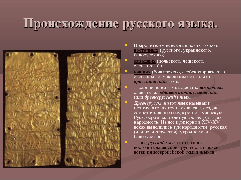 Все факты каталанского языка