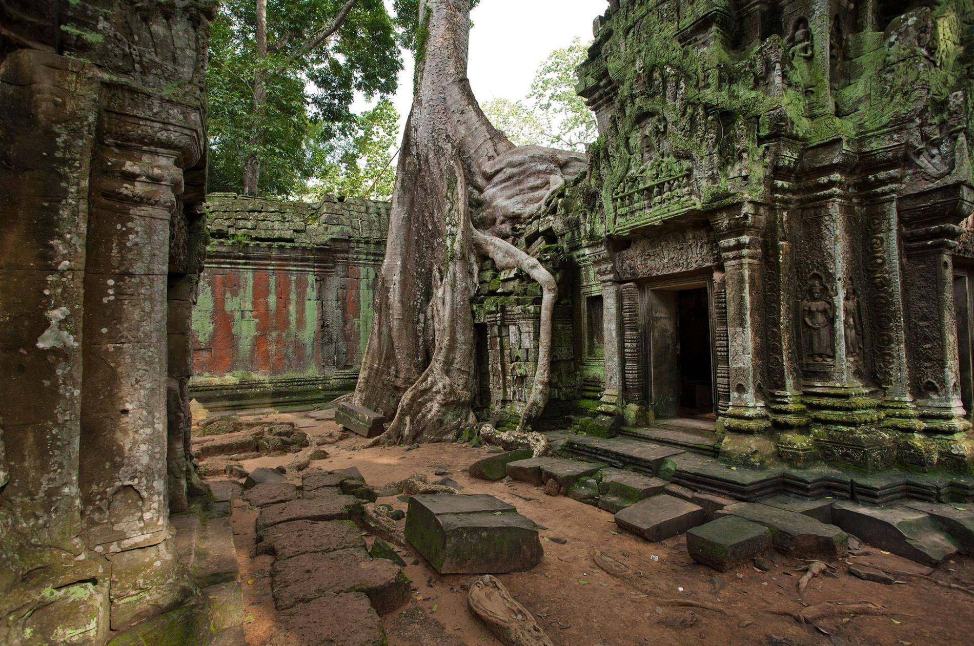 Ангкор-ват