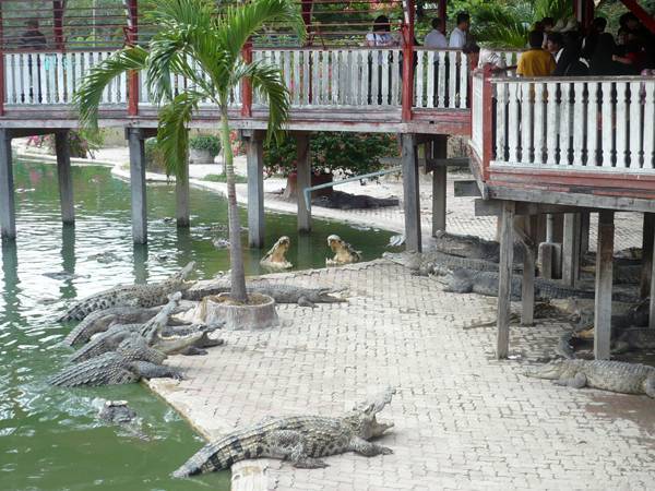Ферма крокодилов и парк миллионолетних камней в паттайе