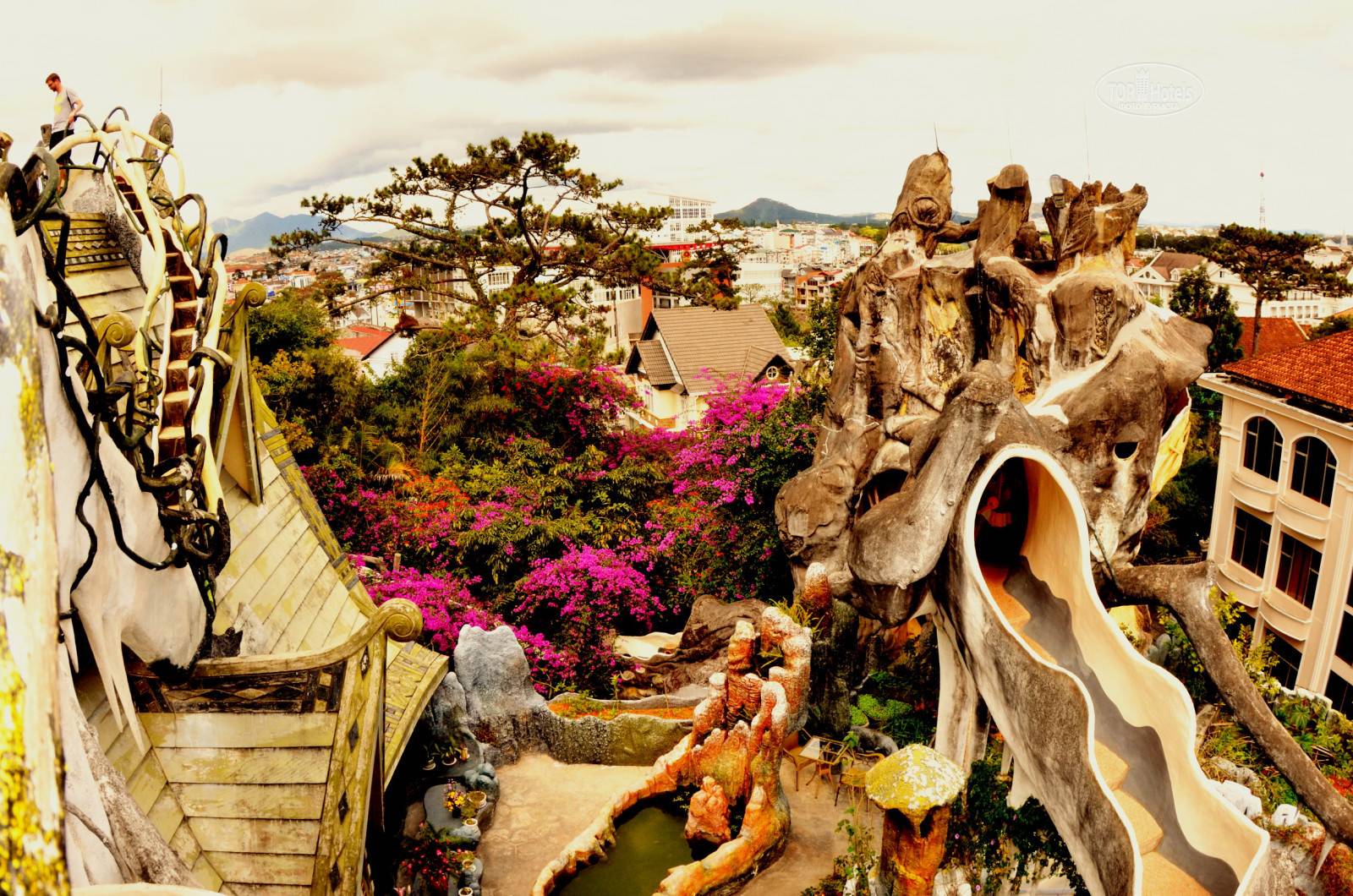 Сумасшедший дом во вьетнаме фото