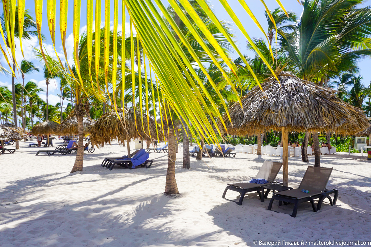 Празднование нового года 2022 в доминикане: где лучше отдыхать? какой выбрать отель и курорт? когда бронировать тур?
