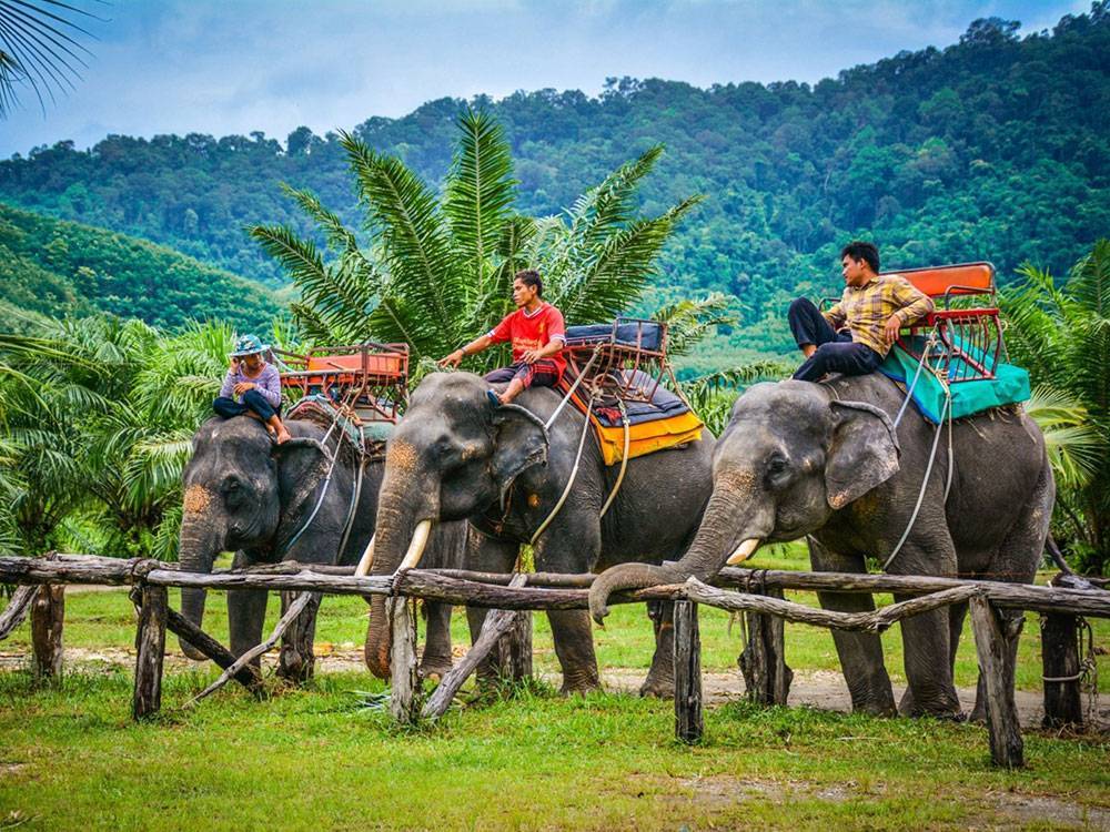 Катание на слонах - пхукет - разумный туризм