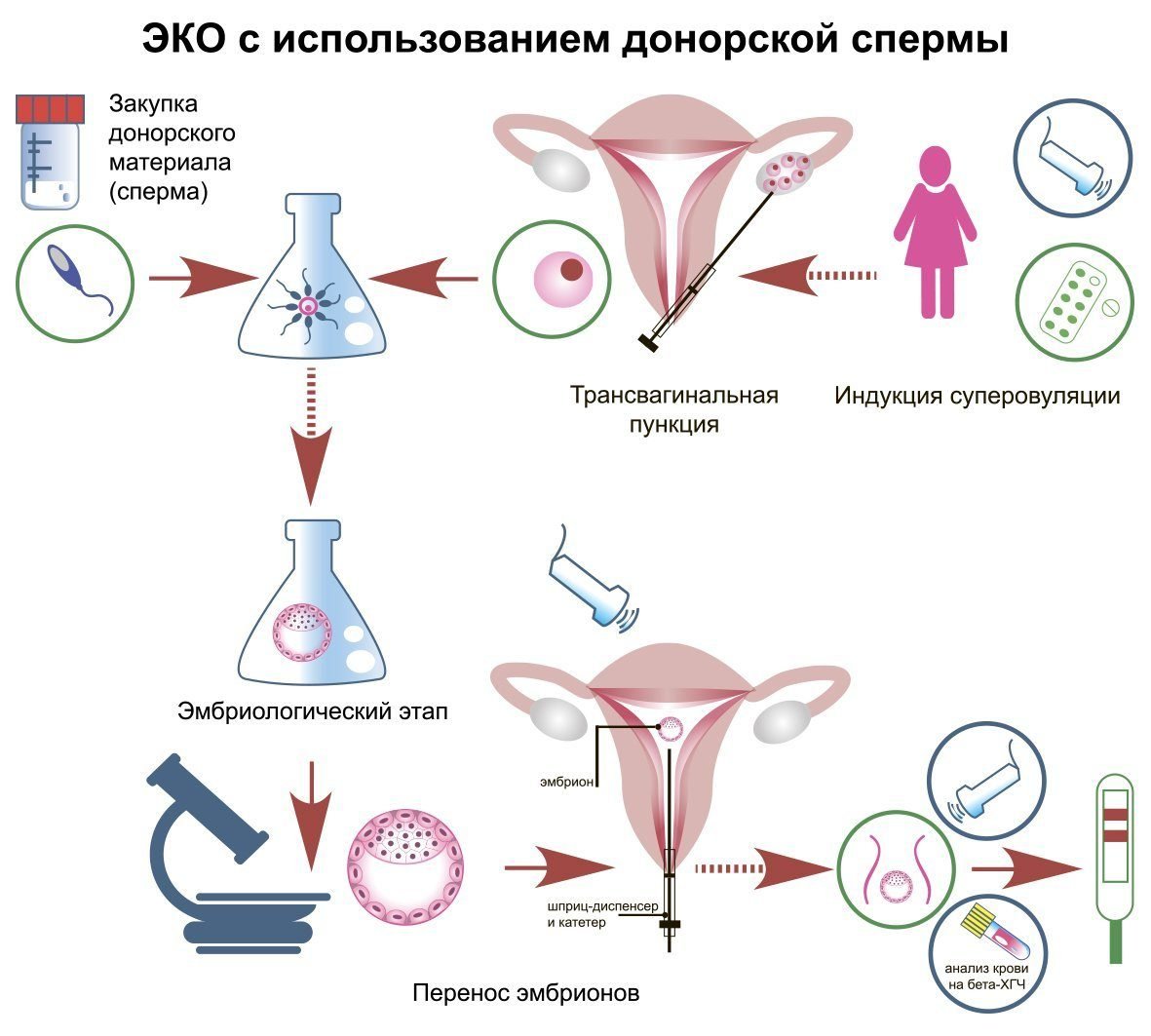 сперма и ее влияние на организм фото 62