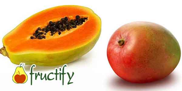 Как правильно выбрать папайю — оценка вида и степени зрелости