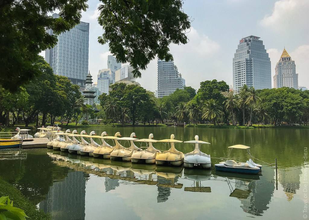 Парк люмпини (lumpini park) - городской парк в бангкоке: фото и описание, как добраться - 2021