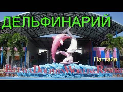 Где в таиланде можно поплавать с дельфинами?
