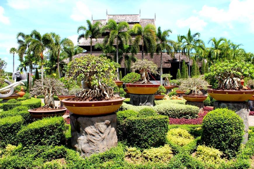 Тропический ботанический сад нонг нуч — nong nooch garden — thaiguide.info