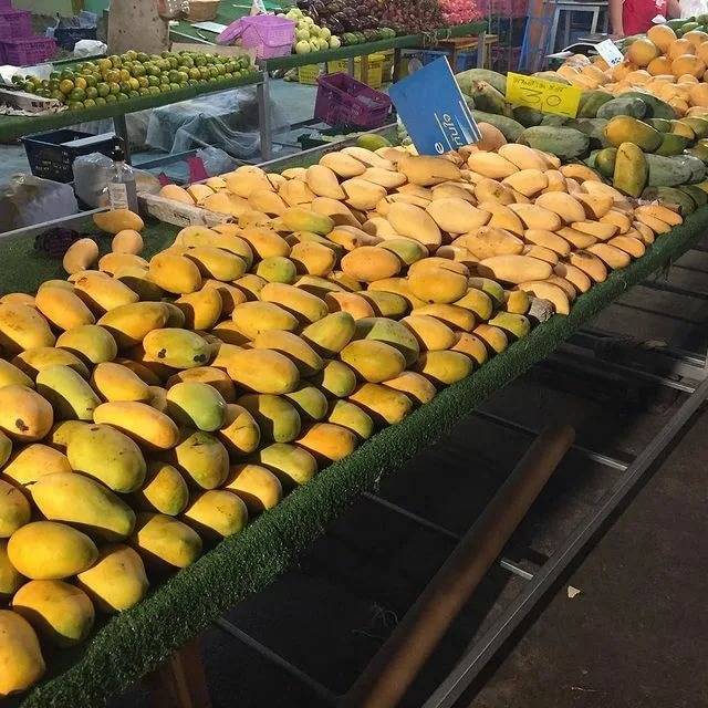 Где растет манго в каких странах