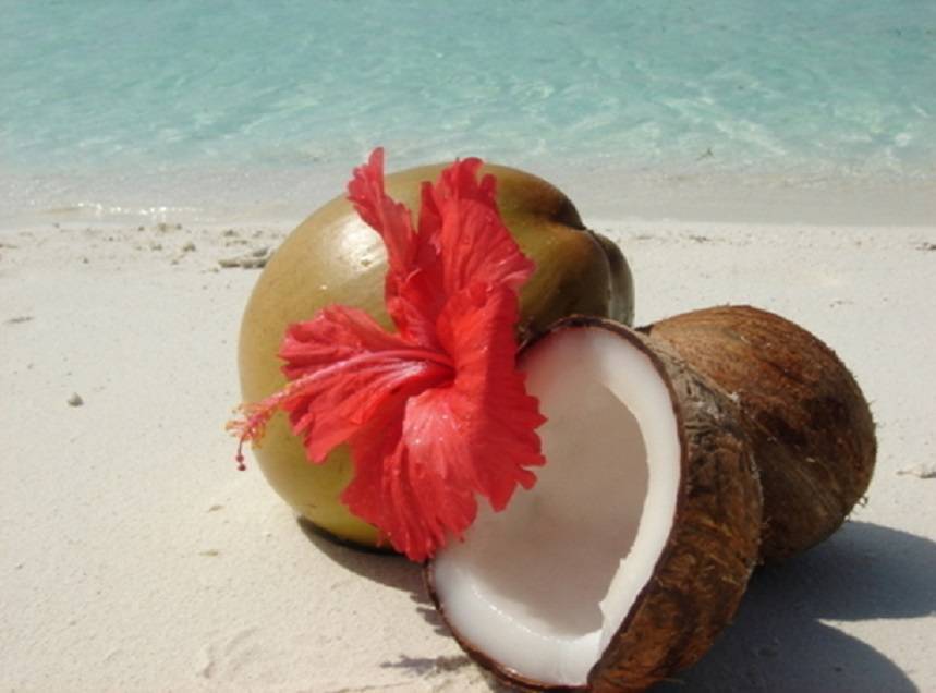 Как чистить паттайю. Паттайя Кокос. Кокос это фрукт. Кокос на пляже. Пхукет фрукты.