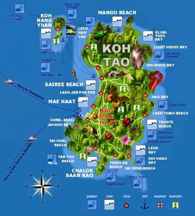 Ко панган (koh phangan) — «остров чудес»
