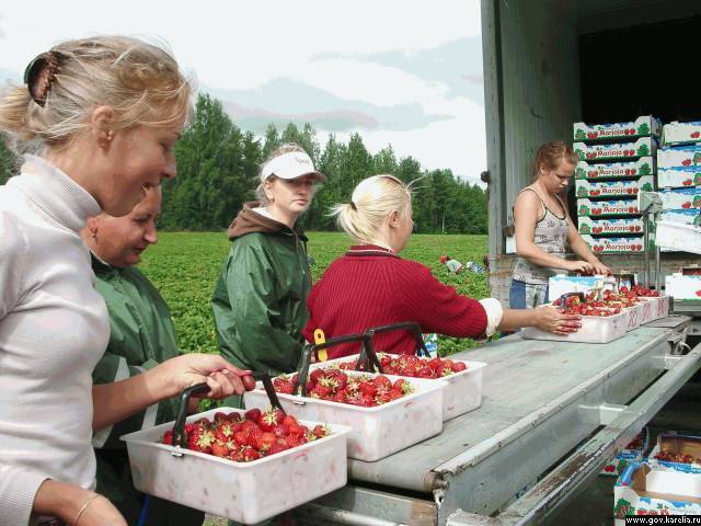 Работа в финляндии: особенности трудоустройства| вакансии
