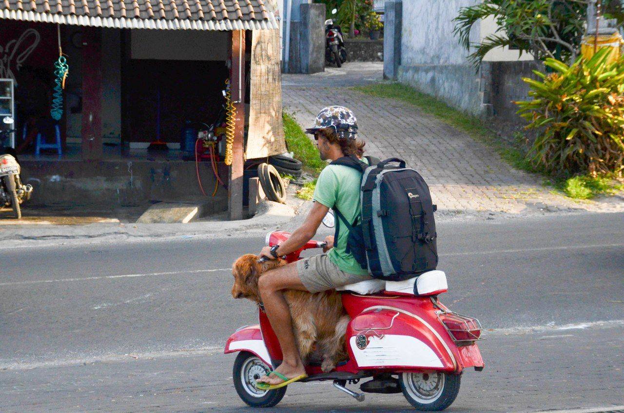 Мопед - самое быстрое средство для путешествия по Бали