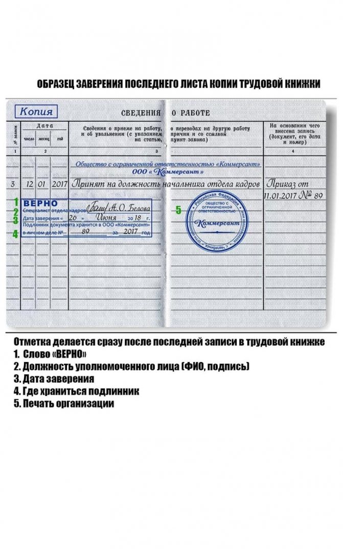 Нужна ли копия трудовой книжки для загранпаспорта старого образца через мфц
