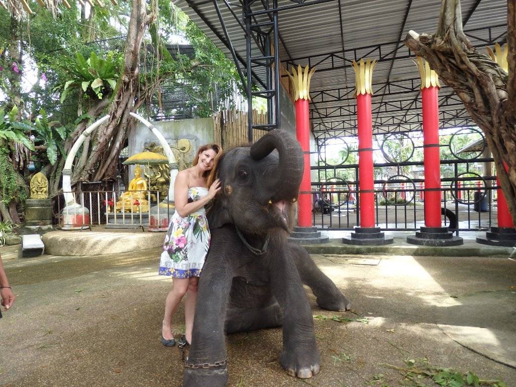 Зоопарк пхукета - phuket zoo - abcdef.wiki