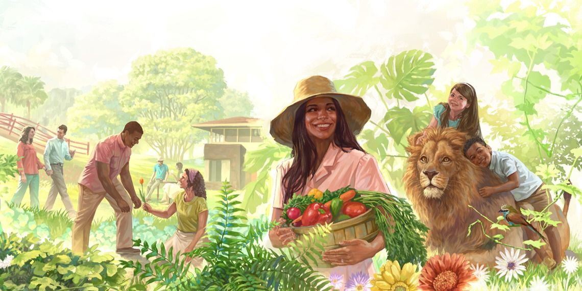 Жизнь в Раю на Цейлоне! Эдемский сад за 25$ в сутки