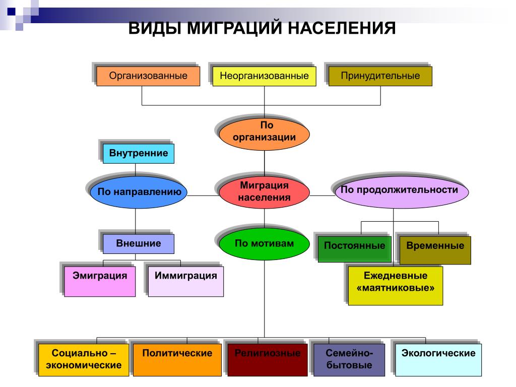 Виды миграций схема 8 класс