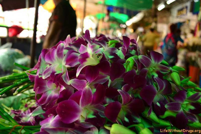 Ночной рынок в бангкоке или рынок фруктов бангкок? что выбрать из многообразия и чем заняться в тайской столице? не верьте, что рынок чатучак в бангкоке...