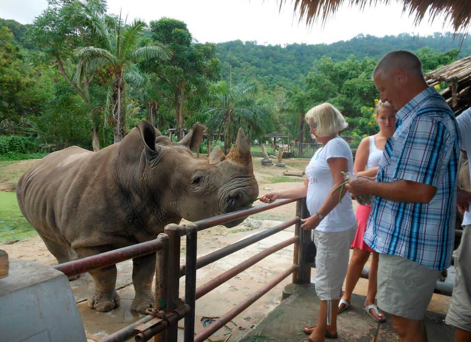 Экскурсии в таиланде - открытый зоопарк кхао кео в паттайе | туристический портал