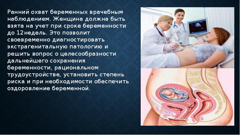 Эко в израиле: этапы, показатели эффективности, стоимость