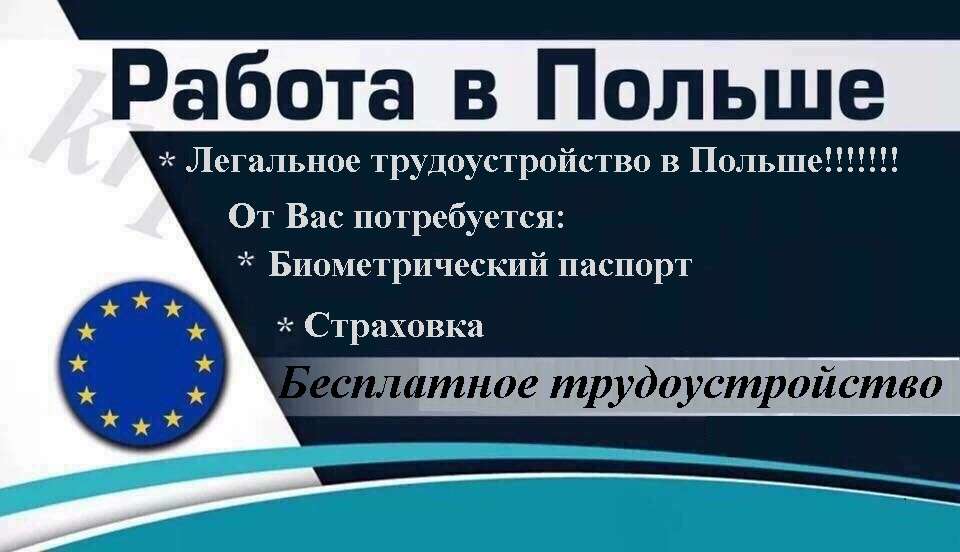 Рабочая виза в польшу: какие права дает документ, сколько стоит, и как его получить