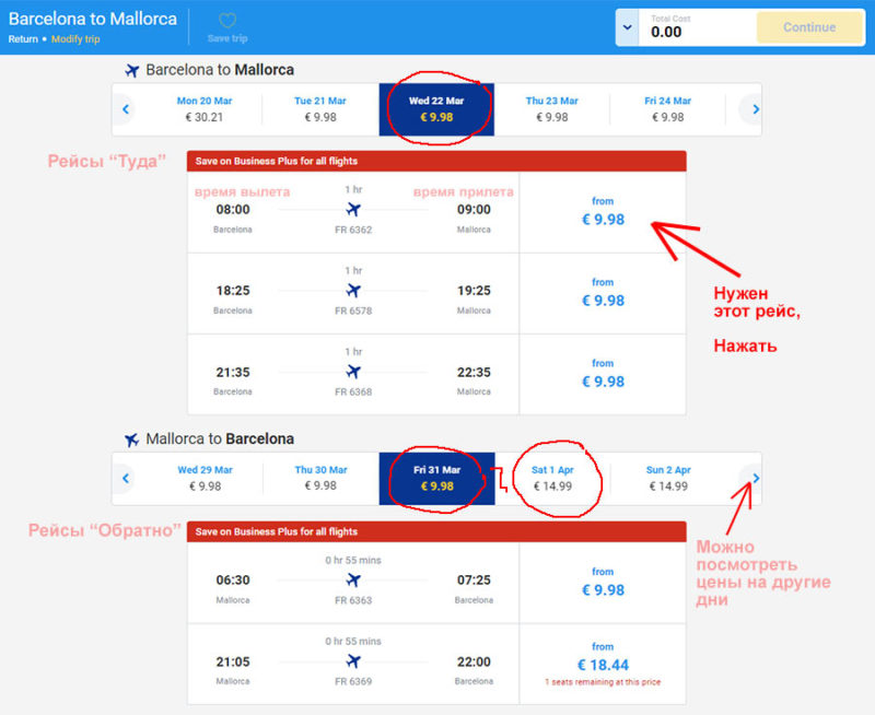 Ирландская бюджетная авиакомпания ryanair и ее особенности