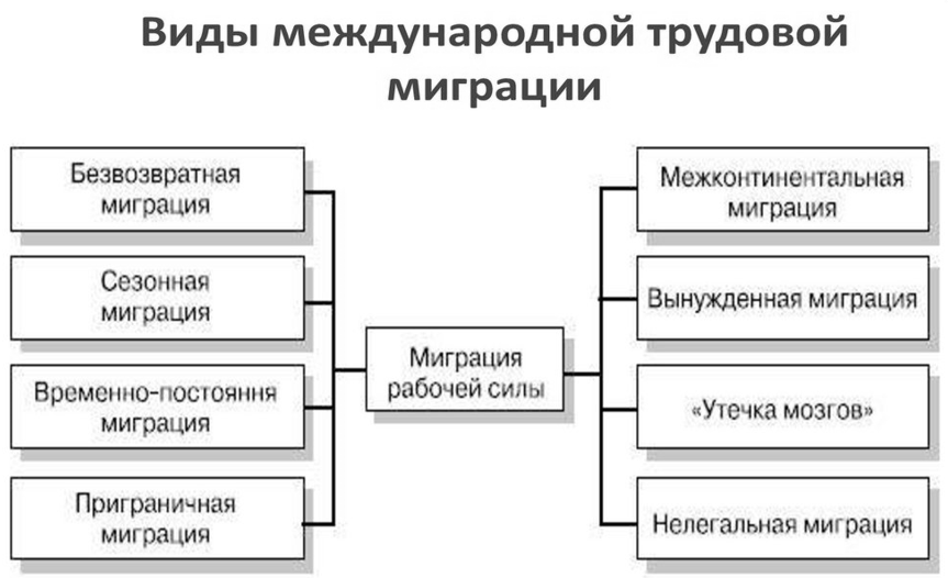 Современные международные миграции населения проект