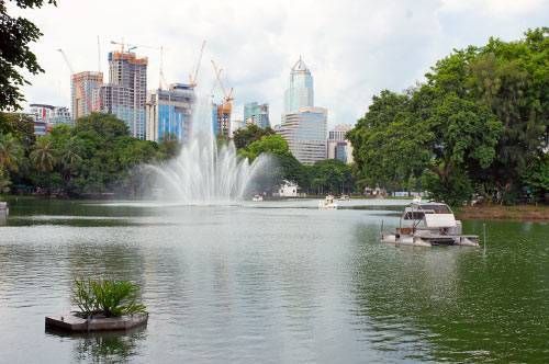 Парк люмпини в бангкоке. зеленый оазис в центре столицы