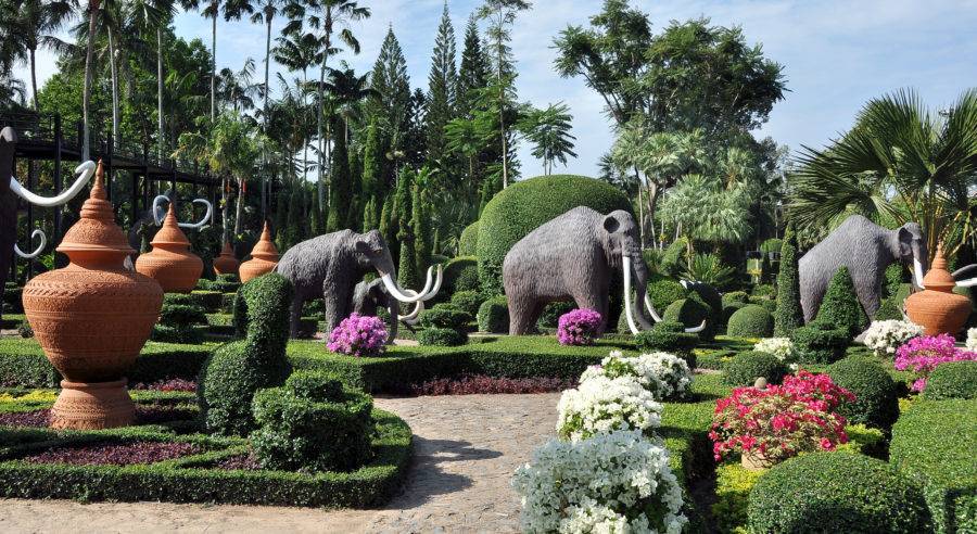 Нонг нуч - тропический парк. паттайя. таиланд. описание, фото.