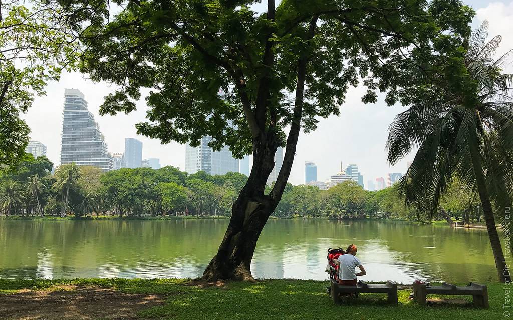Парк люмпини в бангкоке. зеленый оазис в центре столицы