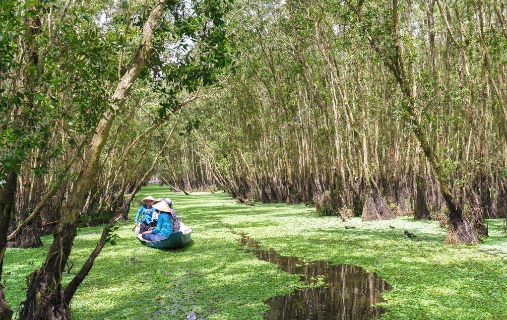 Дельта реки меконг во вьетнаме – экскурсии и достопримечательности