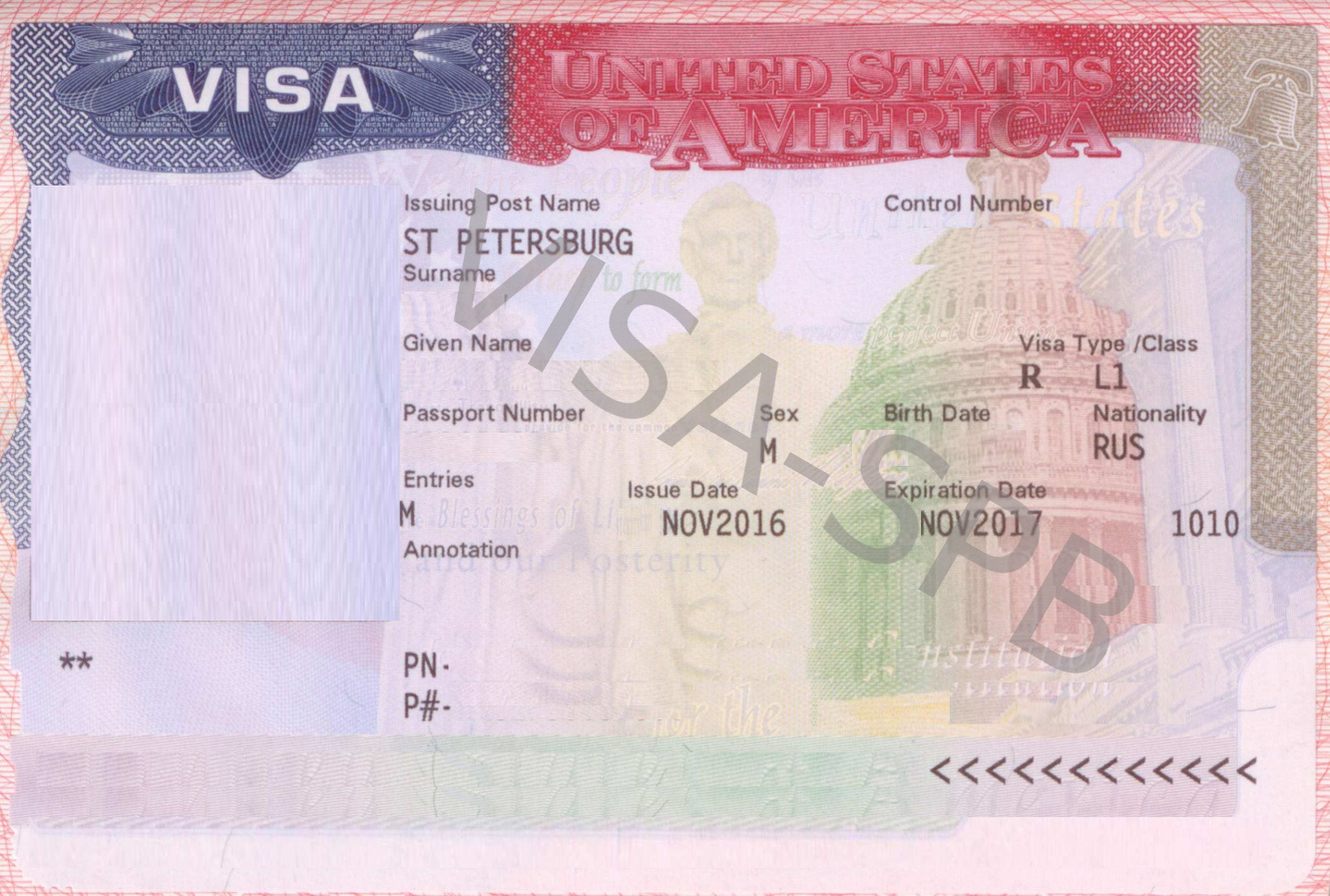 электронная виза в сша требования