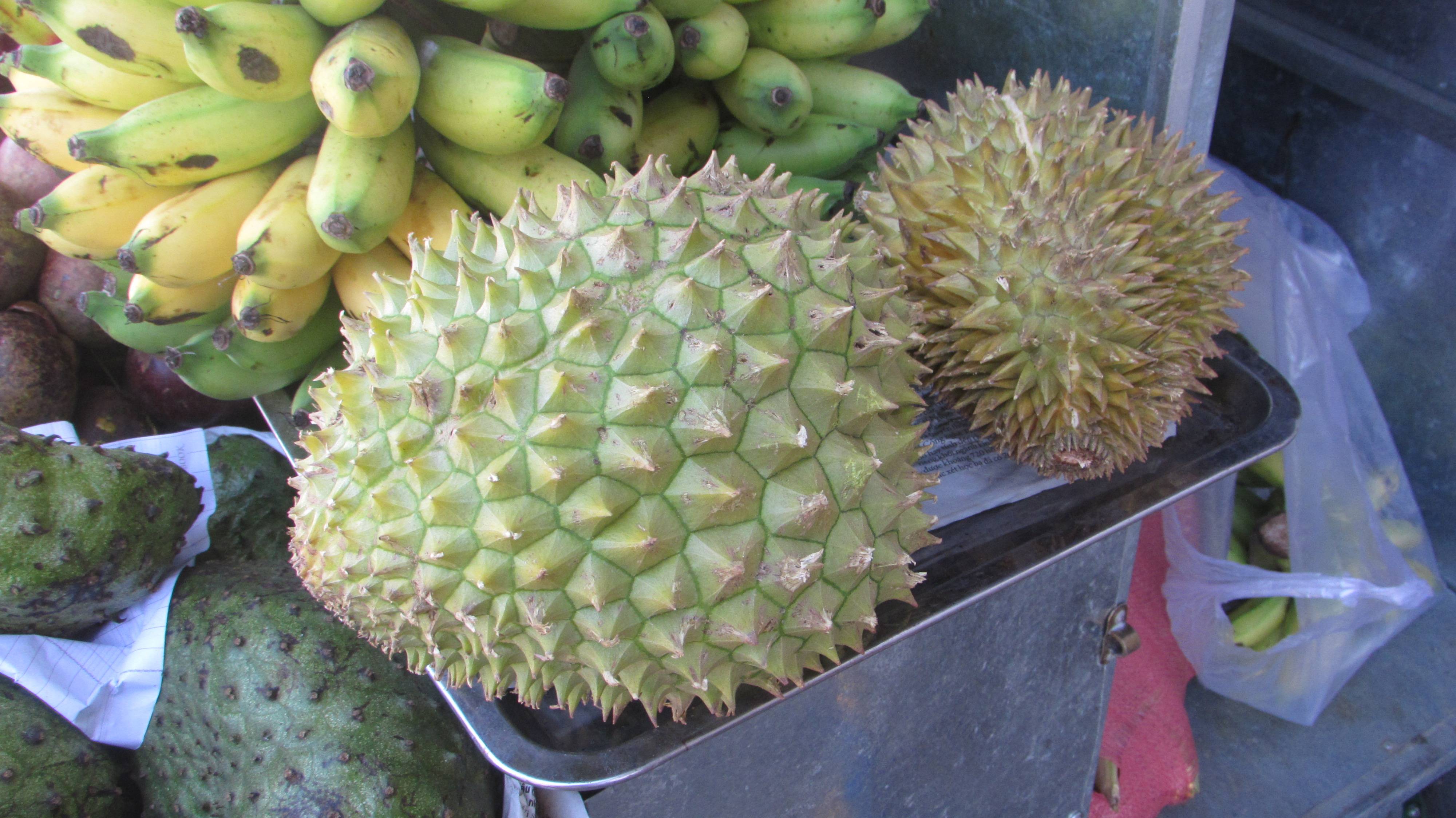 Вьетнамские фрукты фото и названия