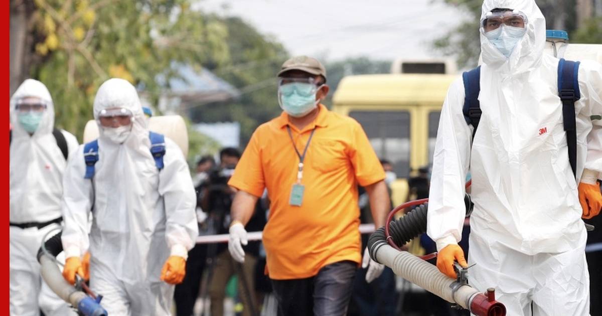 Лихорадка денге в таиланде 2019 – стоит ли ехать в таиланд?